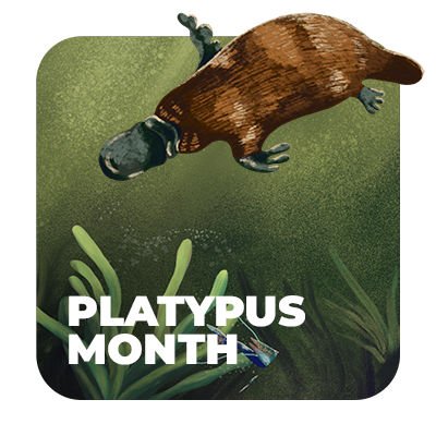 Platypus Month