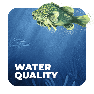 Water Quality