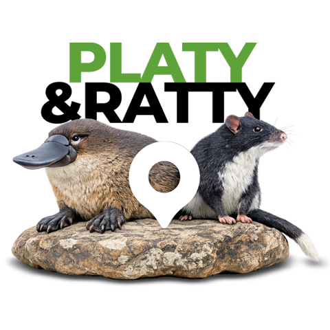 Platy and Ratty Portal