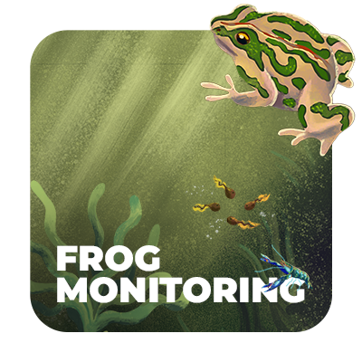 FrogWatch